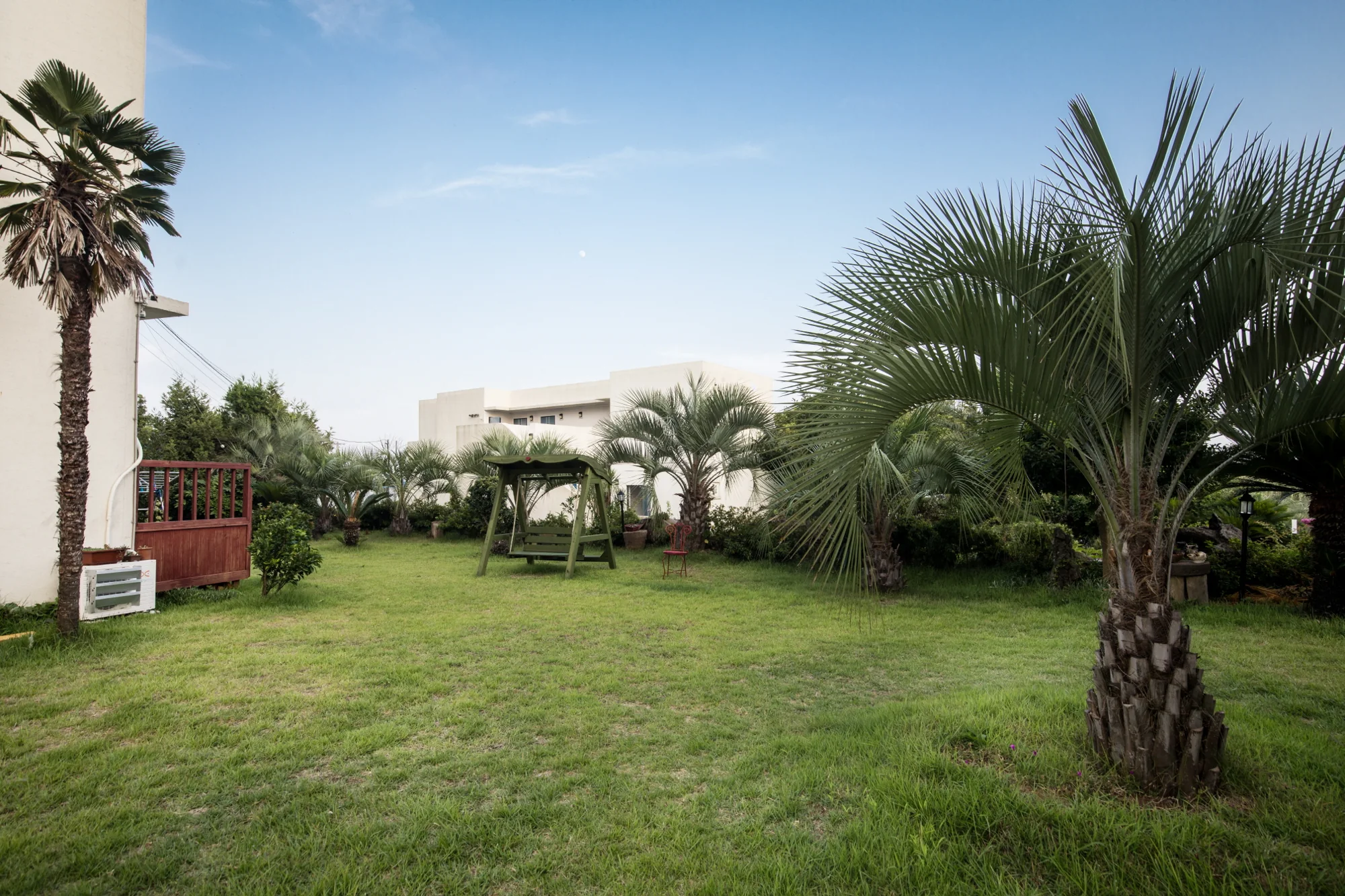 Palm trees in the Badaolle garden